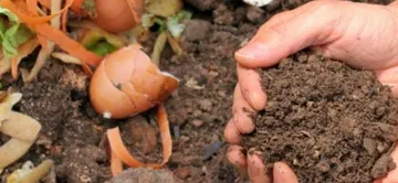 IDS ENVIRONNEMENT