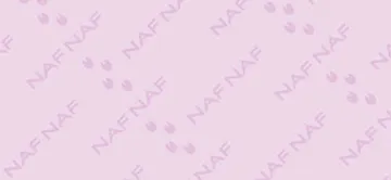 NAF NAF