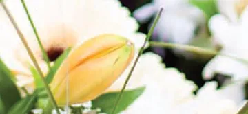RAPID'FLORE / COEUR DE FLEURS