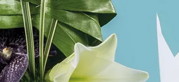 OYA FLEURS