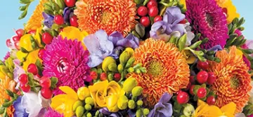 LE JARDIN DES FLEURS