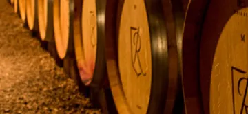 LES CAVES DE REGUSSE