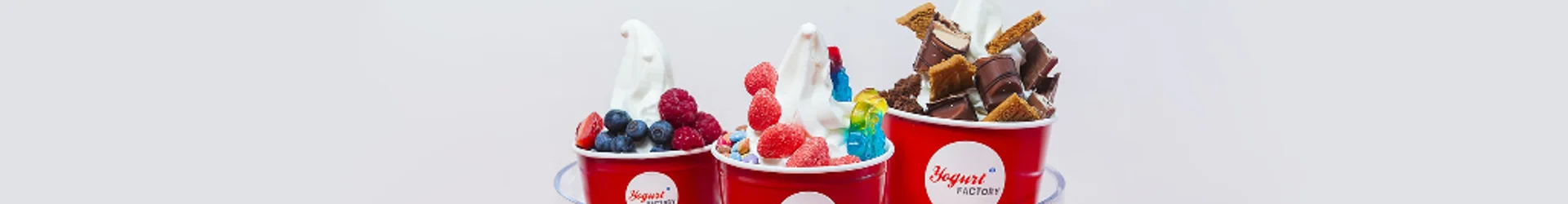 YOGURT FACTORY