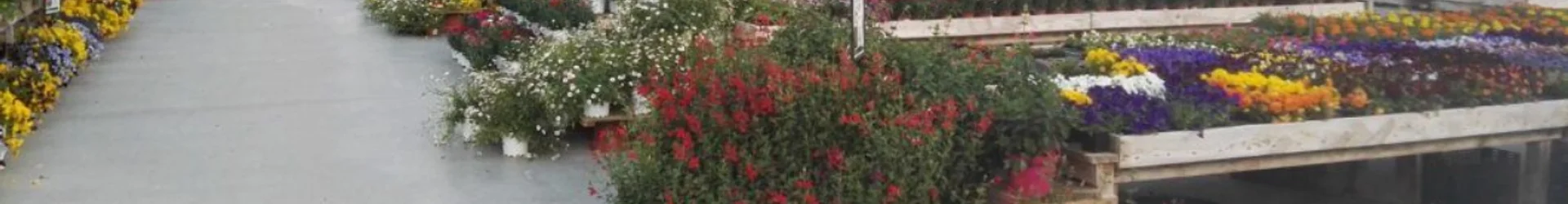 JARDINERIES DU TERROIR