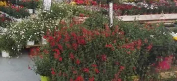 JARDINERIES DU TERROIR