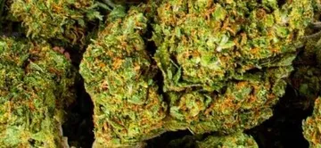 MYBUD SHOP