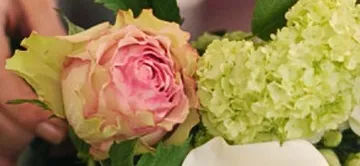 FLEURS Ô NATUREL