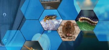 TECHNI PEST