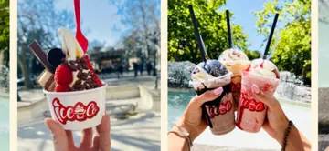 ICE & CO