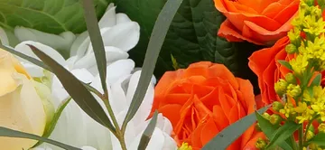 MONCEAU FLEURS