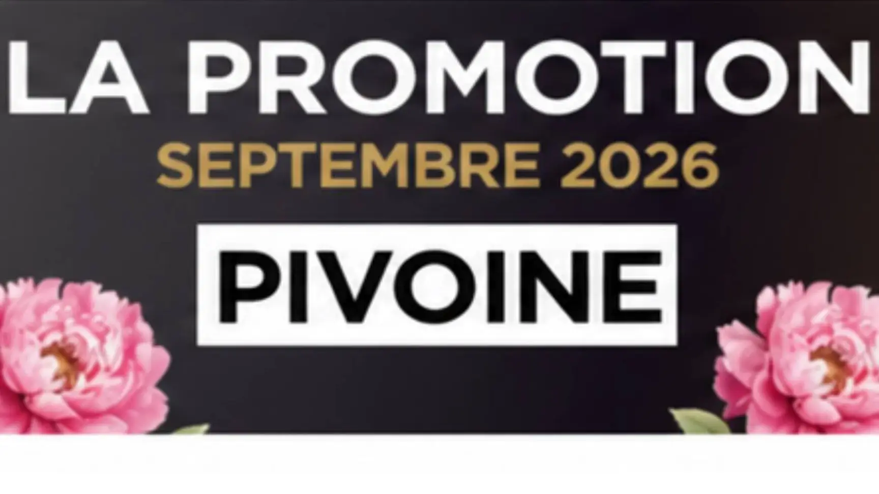 Prelys Courtage accueille 14 nouveaux talents : la promotion Pivoine prend son envol